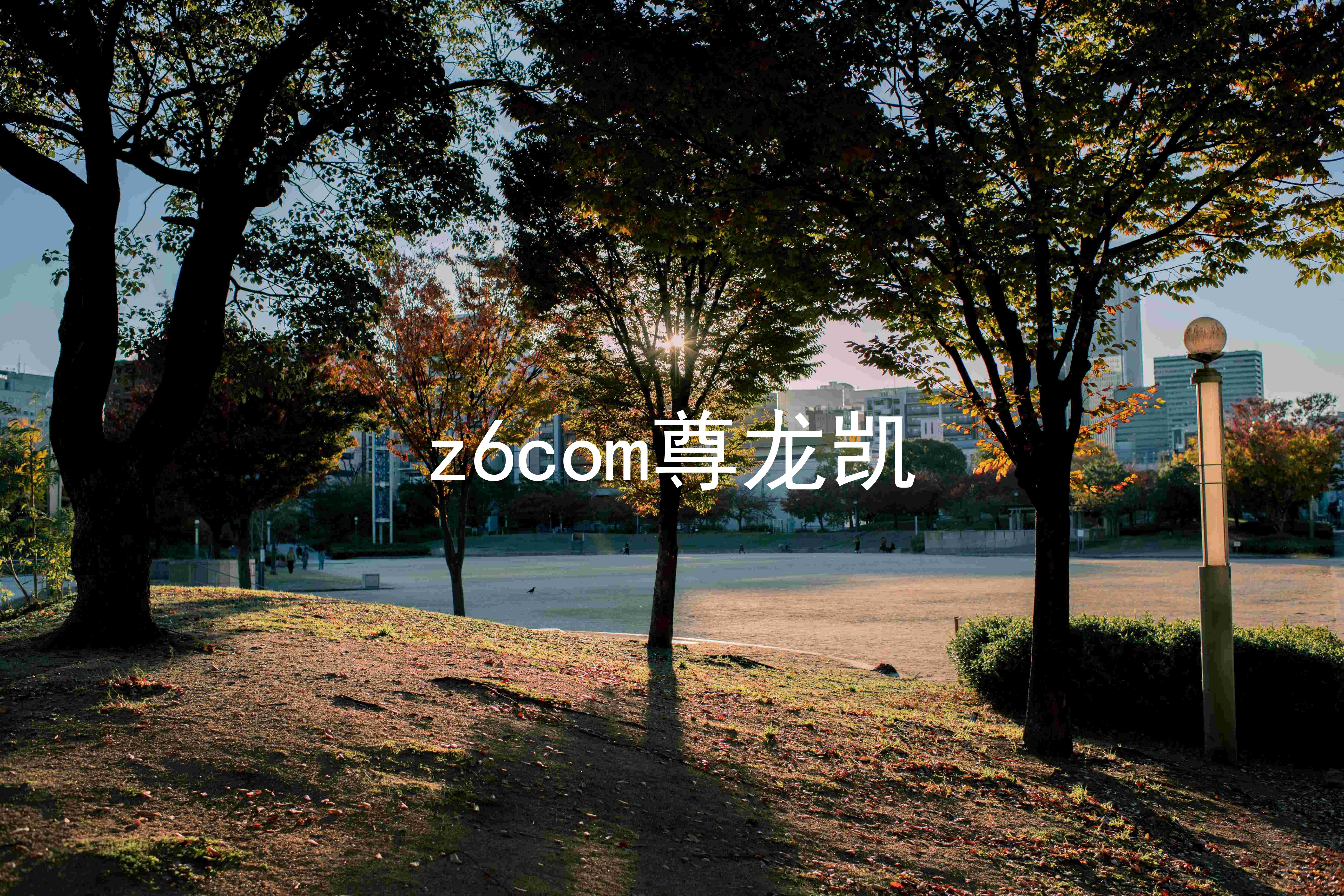 z6com尊龙凯
