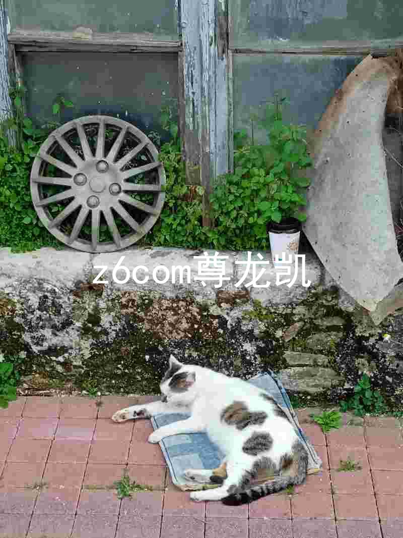 z6com尊龙凯