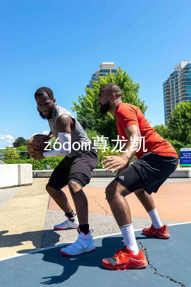 z6com尊龙凯